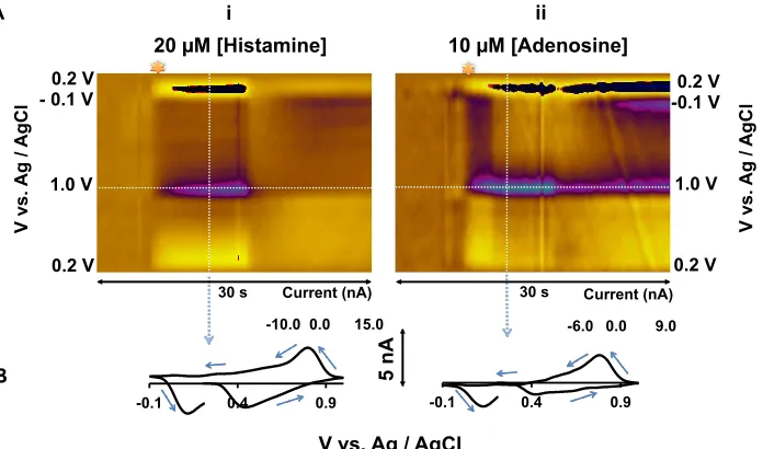 Figure 3.1. A shows color plots for FIA of (i) 20 µM histamine (ii) 10 µM adenosine. B shows CVs extracted from the vertical dashed lines from (i) and (ii)