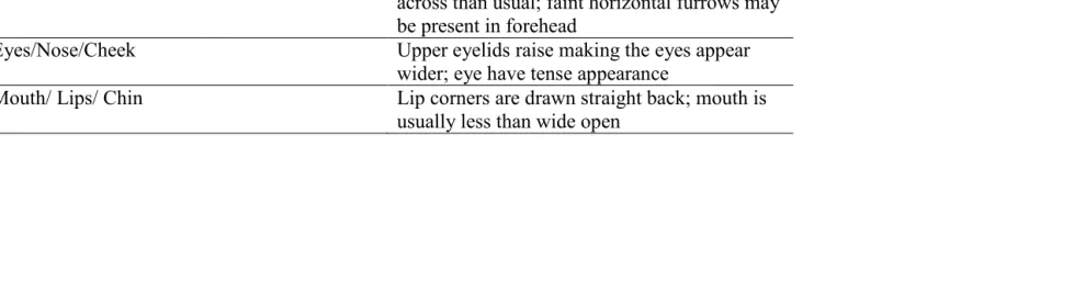 Table 2.3 Facial Expression Coding Definitions 
