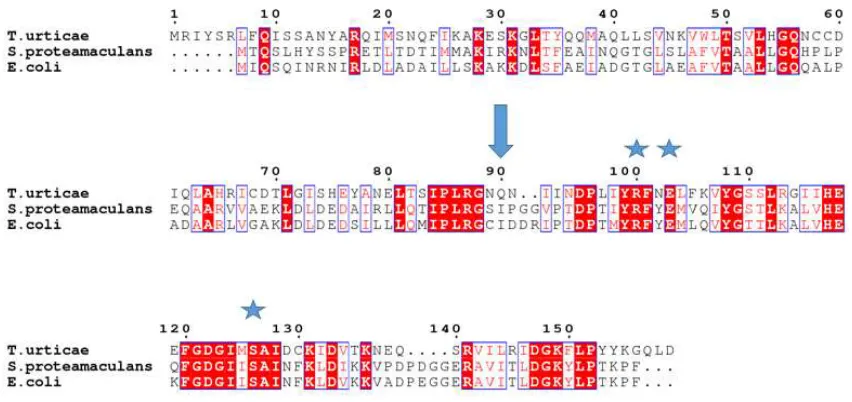 Figure 1.7: Amino acid sequence alignment of T. urticae, S. proteamaculans and E. coli cyanases