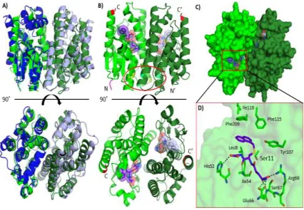 Figure 2.5: Predicted structure of TuGST. A) Structure alignment of predicted TuGST with hGSTT2-2 (PDB code: 3LJR)