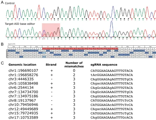 Figure 2. Editing efficiency of the Target-AID base editor at Y402H CFH variant (rs1061170)