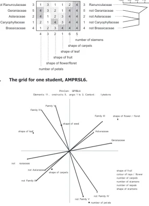 Figure 6. The grid for one student, AMPRSL6.