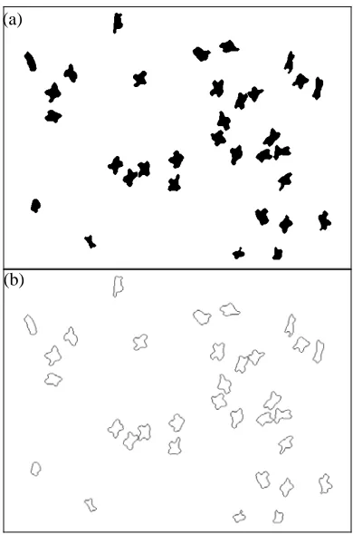 FIGURE 9.  Flowchart of fiber image processing. 