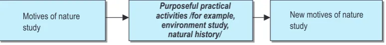 Figure 2.  The motives: systemic approach.