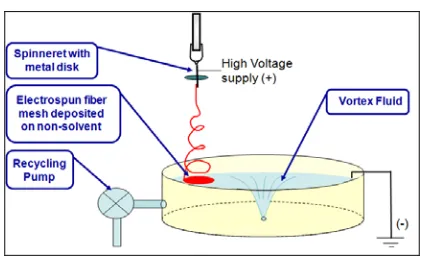 FIGURE 1. The schematic set-up for the production of 3D nanofibrous structures (bulk and aligned) using liquid vortex