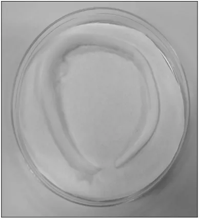 FIGURE 2. The ring shape nanofibrous structure. 