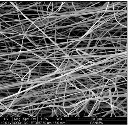 FIGURE 3. The SEM image of the ring shape nanofibrous structure.   