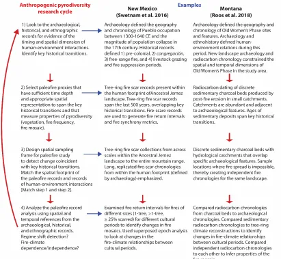 Figure 6. An idealized research process for integrating human information (archaeological, historical, ethnographic) and relevant paleofire information to identify anthropogenic pyrodiversity