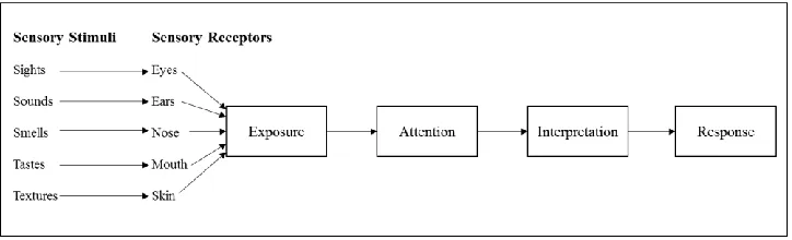 Figure 2.  Components of Perception Process [30] 