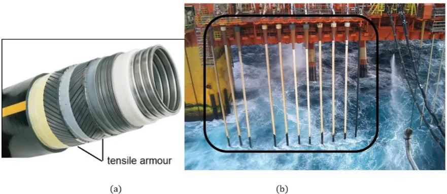 Figure 1:  (a) The different layers of the riser, (b) The region of the riser (connection at platform) that could be monitored using techniques based on guided wave propagation