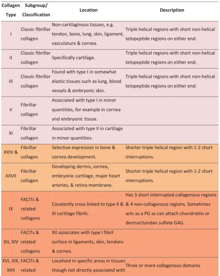 Table 2.1. Summary of the different collagen types, features and distribution in the body and tissues 