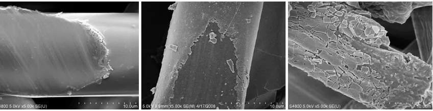 FIGURE 4. SEM images of interface: between TiO2 films and different fibers (a) PET; (b) PP; (c) viscose