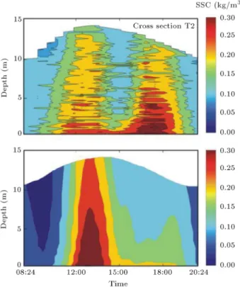 Figure 6. Evolution of the vertical proles of SSC from the eld data (the top graph) and the model results (the bottom graph) at the monitoring point at the middle of the cross section T2.