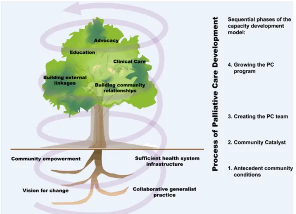 Figure 1:  Developing a rural palliative care model adapted with new antecedent condition