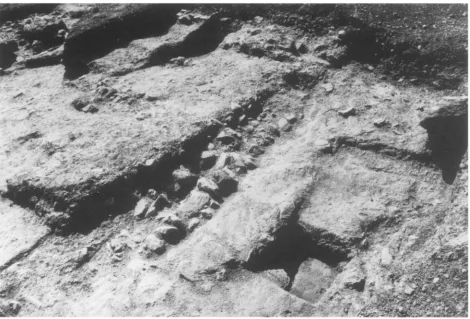 Figure 11. Area 2, Rooms 2, 3 from northwest 