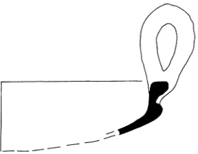 Figure 12. Bean-parcher (C-1994- 78), 