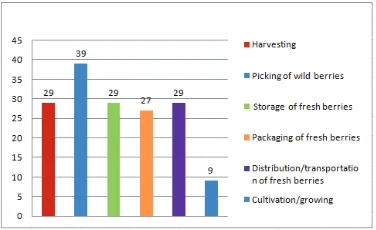 Figure 2. The type of berries  that the respondents work with