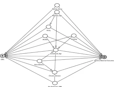 Figure 3.1 Directed Acyclic Graph (DAG) Minimally Adjusted Model 12 