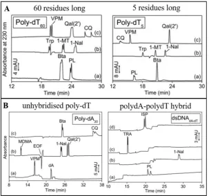 Figure 4. Figure 4.( (AA) Effect of number of oligonucleotide residues (60 vs. five residues) on PF-EKC separation