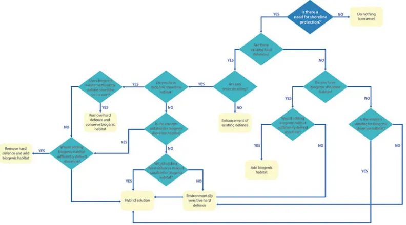 Figure 3 A flowchart for identifying the suitable approach to ecoengineered shoreline protection