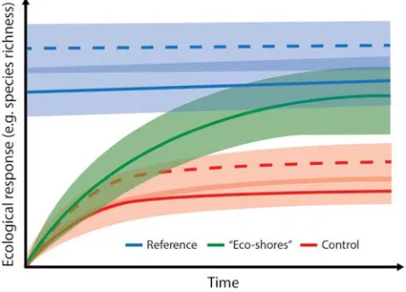 Figure 6 A hypothetical illustration of plausible temporal changes in ecological performance of an ecoengineered shoreline and multiple control and reference sites (solid and dashed lines indicate the various sites)