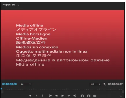 Figure 4.3 The “media offline” warning. Adobe® product screenshot reprinted with permission from Adobe Systems Incorporated