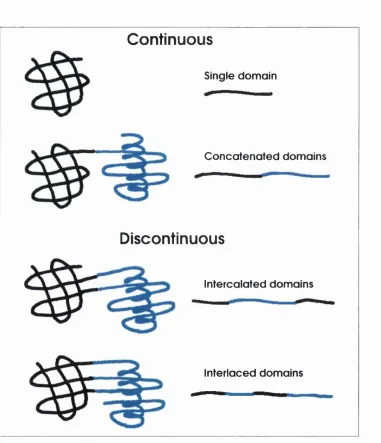 Figure 1.3: The connectivity between multidomain proteins (adapted from Das and Smith (2000))