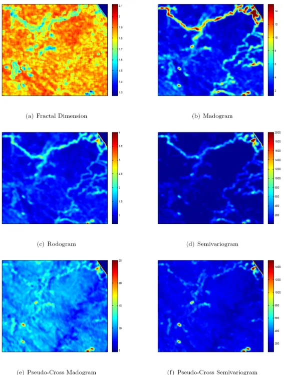 Fig. 3.5 Texture features derived from Landsat ETM data using spatial variability measures  of Geostatistics and fractal dimension approach 