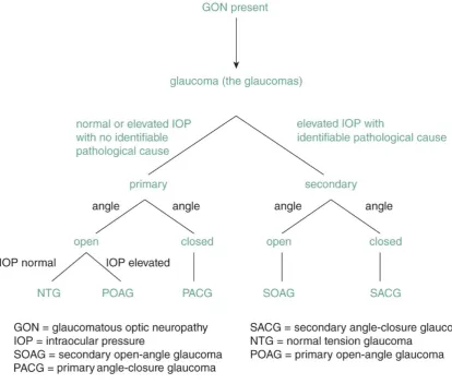 Figure 1.1 Glaucoma subcategories based on cause, anterior chamber angle 