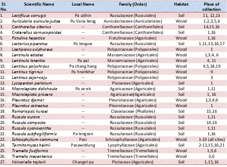Table 1 | List of mushroom with local name, habitat and place of collection. 