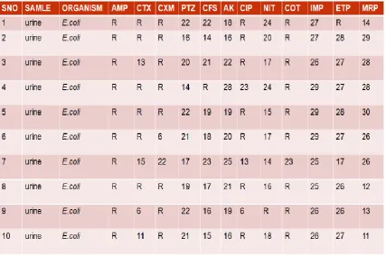 Table 3: Spectrum Beta Lactamase Producers. 