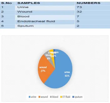 Table 1: Numbers of Isolated Samples 