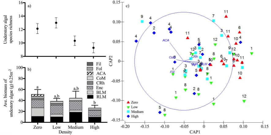 Figure 2.3: The effects of Ecklonia radiata thallus density (Zero, Low: 1-2 thalli m-2, Medium: 4-5 thalli m-2, High: average of 9 thalli m-2) on understory algae