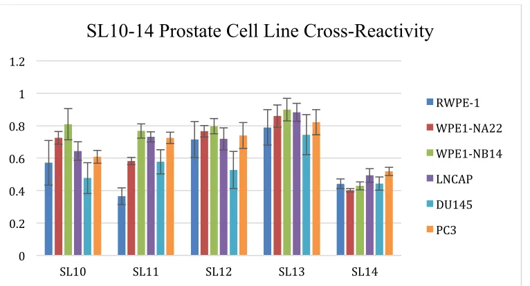 Figure 3.1 Binding patterns/ “Fingerprint patterns” of SL10-14 with prostate cell lines