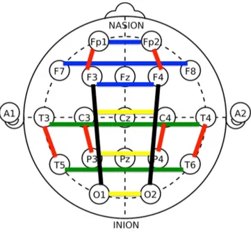 Figure 2.2 Intrahemispheric and interhemisperic coherence regions of interest. 