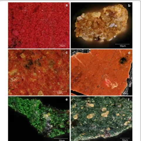 Fig. 3 Images obtained by digital microscopy of samples a 4_red, b 2_yellow, c 5_yellow, d 6_orange, e 1_green and f 5_green, representative of the appearance of most samples