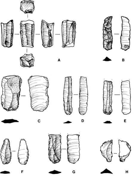 FIG. 6. Drawings of Neolithic chipped stone. Scale 1:2 