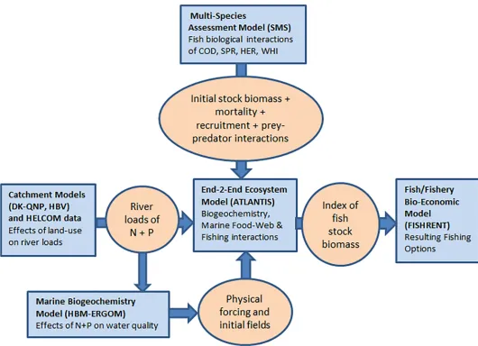 Fig 1. A schematic diagram of the integrated ecosystem modelling and strategic management evaluation framework