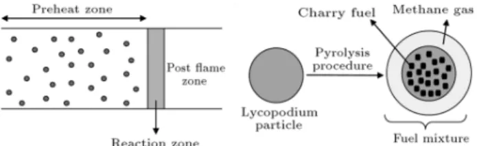 Figure 1. The ame structure of dust particles.