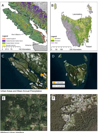 Figure 1. Geographic context of Vancouver Island, Canada (left), and Tasmania, Australia (right).The broad vegetation cover of these temperate forested islands is controlled by elevation (The locations of the capitals of British Columbia (Victoria) and Tas
