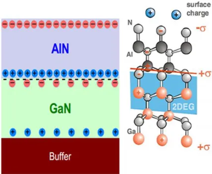 Figure 1.6 Polarization and surface charge of GaN and AlN. 