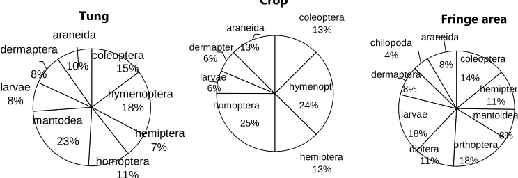 Figure  6. Contribution of the fauna in the different components of the tung site.  