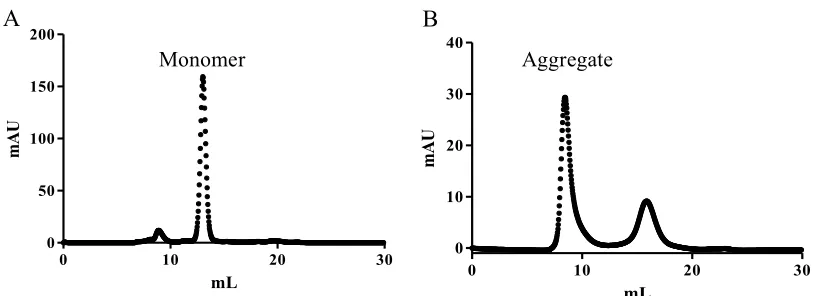 Figure 2.1 FPLC-SEC purification profile for Aβ40 monomer and Aβ40 soluble aggregate. Aβ40 monomer was eluted at the volume of 12-15 mL (panel A), and Aβ40 aggregate was eluted at the volume of 8-10 mL (panel B)