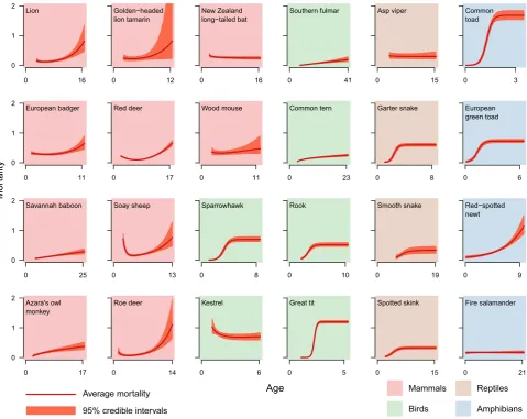 Figure 2 Best-ﬁtting models of age-speciﬁc mortality during adulthood for 24 species of terrestrial vertebrates compared to models including only age-independent adult mortality