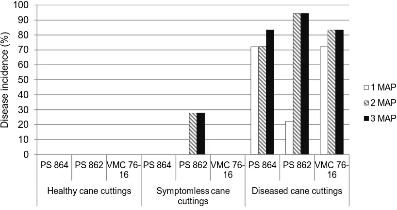 Table 2. Disease incidence of three sources of cane cuttings at 2 and 3 months after planting