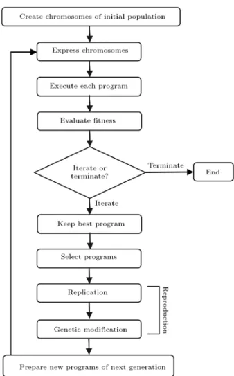 Figure 2. A typical representation of the GEP algorithm.