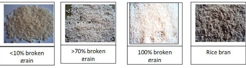 Table 5. Estimated profit acquired from the purchase of paddy, process and sale of 1 ton of milled rice