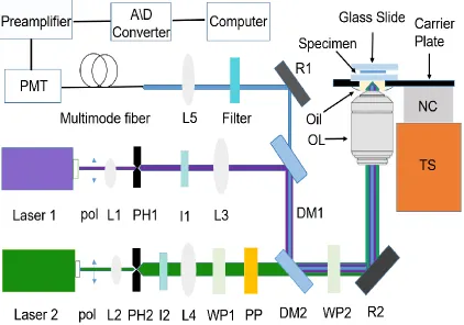 Figure 2.1 A schematic of the STED setup  Laser 1: continuous wave at 405 nm; laser 2: continuous wave at 532 nm; L1, L2, L3, L4 and L5: optical lenses; PH1 and PH 2: pinholes; I1 and I2: Iris; WP1 and WP2: wave plate (WP1: l/2, WP2: l/4); Pol: light polarization direction; DM1 and DM2: dichroic mirrors; PP: phase plate; PMT: photomultiplier tube; R1 and R2: reﬂector mirrors; OL: objective lens (PlanApo 100X, NA=1.4 oil immersion); NC: nano cube piezo scanner (3-axis); TS: translation stage, (3-axis) 