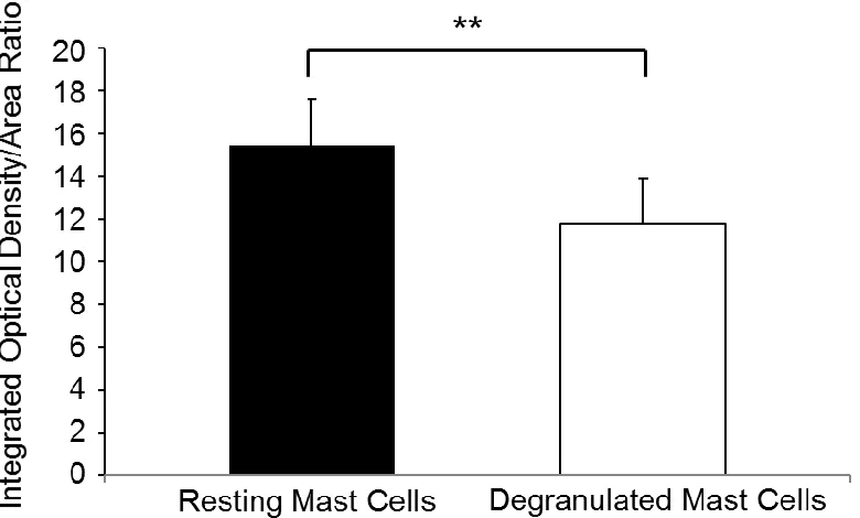 Figure 2.2 Comparison of mass between intact and degranulated MC.  Comparative relative density and mass measurements as integrated optical density (IOD) over Area (A) ratios for intact and degranulated MC in skin samples of four different normal mice (**p