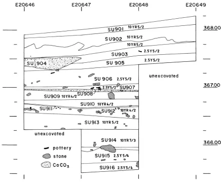 FIG. 3. EU6: section of north baulk 